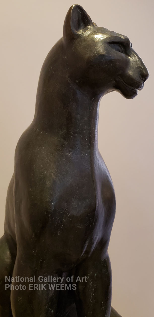 Panther - Hallway of National Gallery of Art