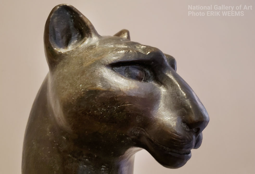Panther - National Gallery of Art